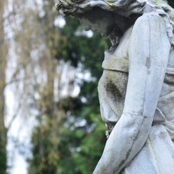 2017-04 Copenhagen/Assistens Kirkegård/DSC_0089.JPG